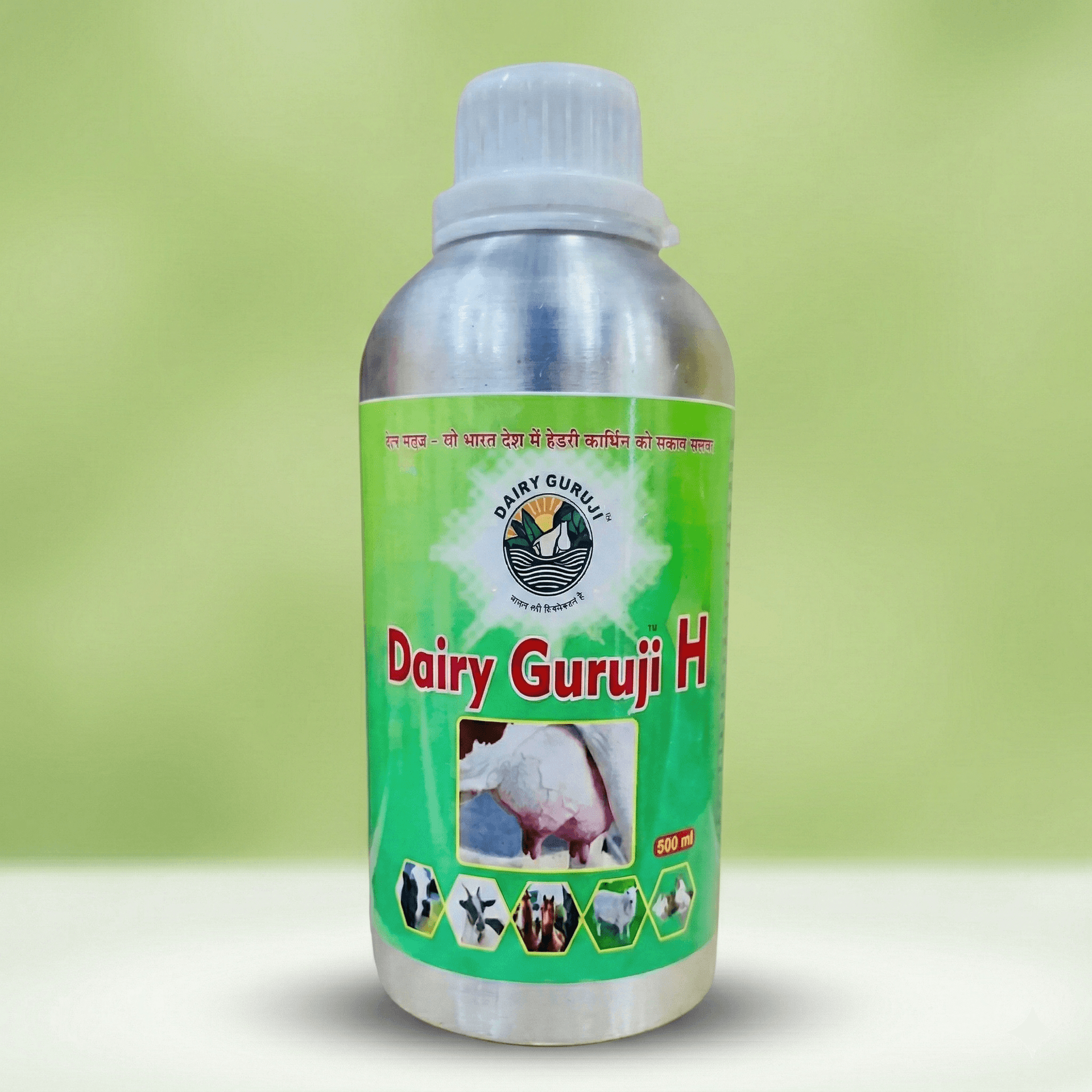 Dairy Guruji-H