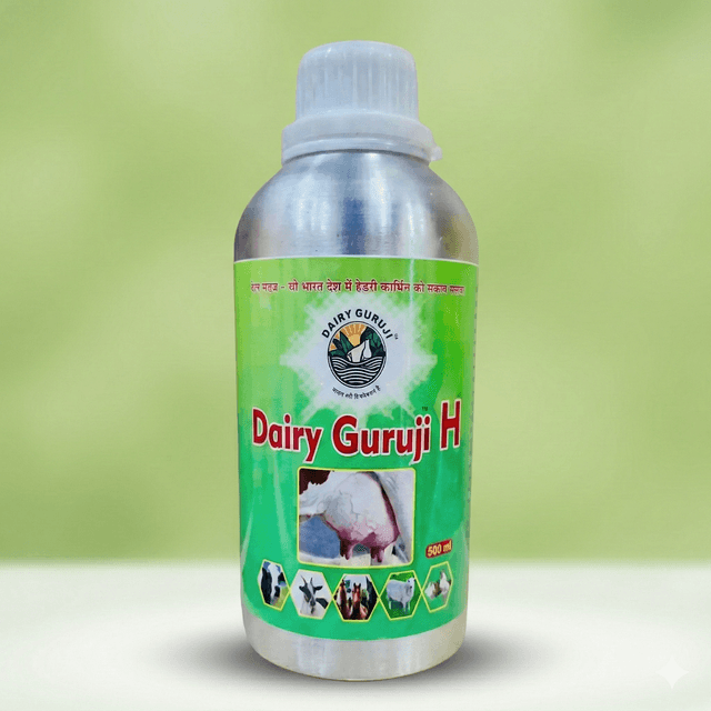 Dairy Guruji -H